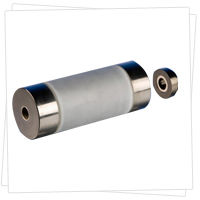 Plasma Coated Roller