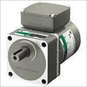 AC Induction Motor