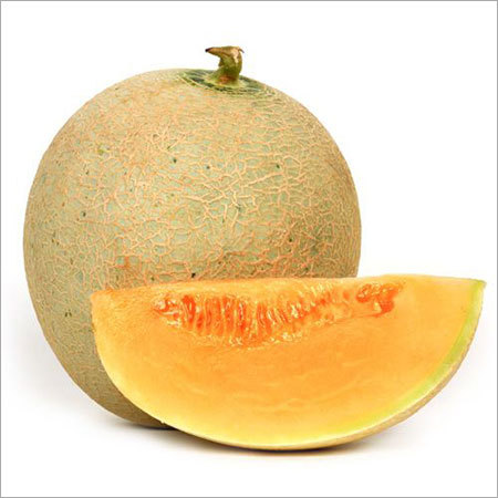 Fresh Musk Melon