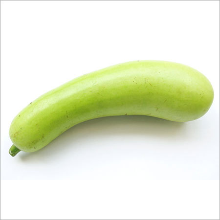 Bottle Gourd