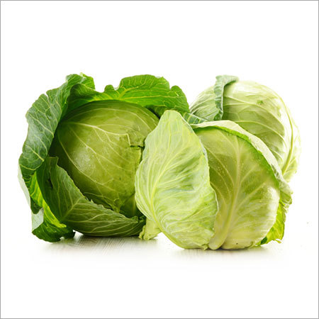 Cabbage