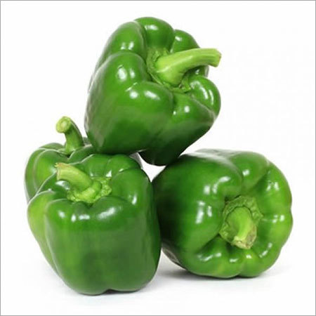 Capsicum