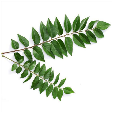 Curryleaves