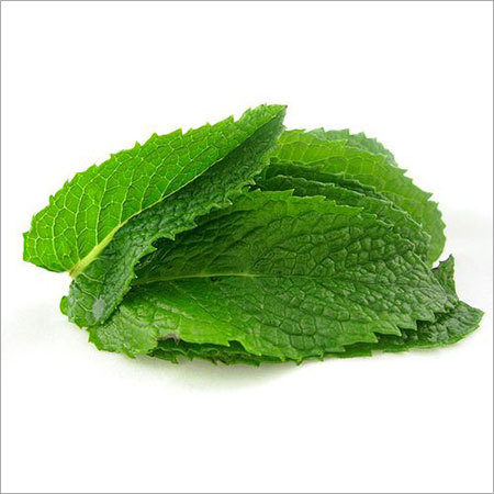 Mint