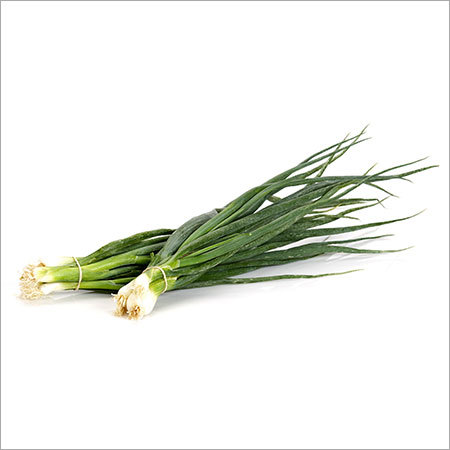 Organic Spring Onions