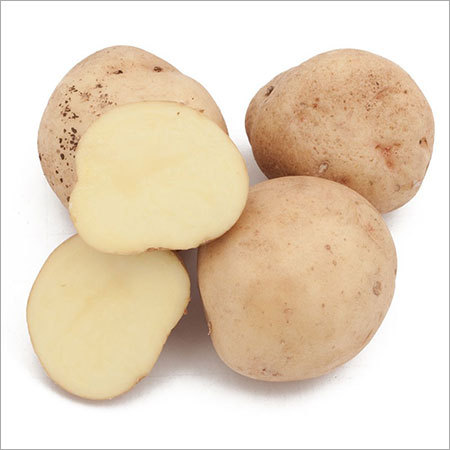 Potato