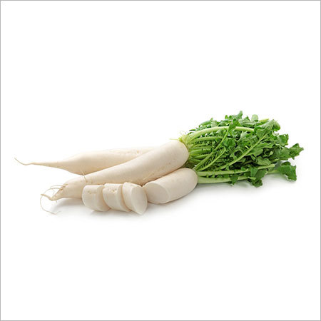 Radish