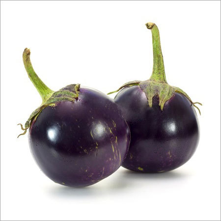 Small Brinjal