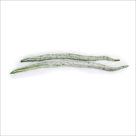 Snake Gourd