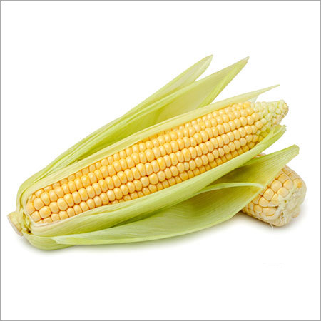 Sweetcorn MR