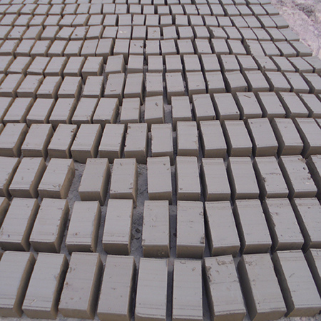 Customized Mud Bricks