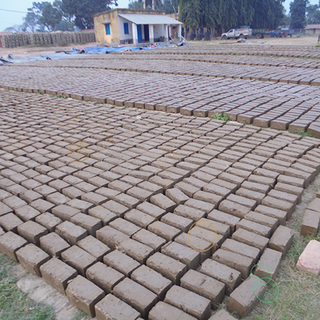 Customized Clay Bricks