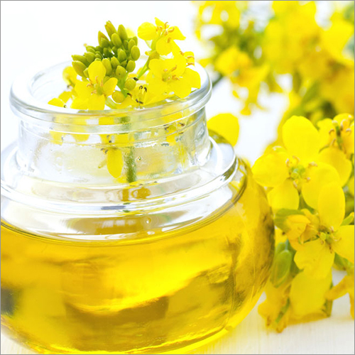 Extra Virgin Rapeseed Oils