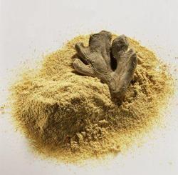 Dehydrated Ginger Powder Dehydrated Ginger Powder