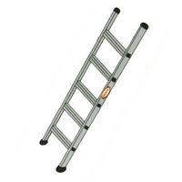 Wall Supporting Extension Ladders