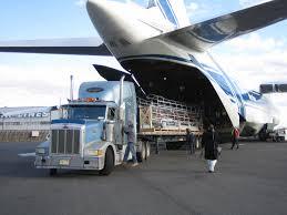 Road Freight Forwarding Services