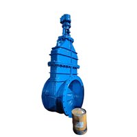 Industrial Sluice Valves - Color: Blue