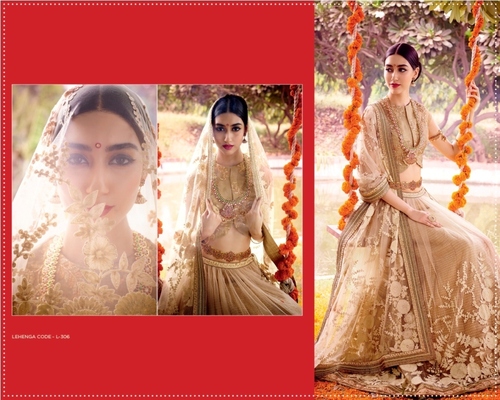 Celestial Peach Net Lehenga Choli - Customizable Choli Up to 44 Inches, Resham Embroidery, Patch Border Work