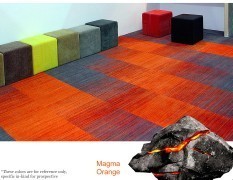 Nylon Carpet