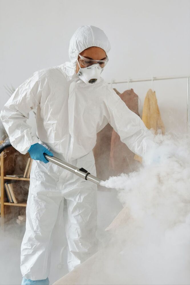 Fogging Treatment For Mosquitoes