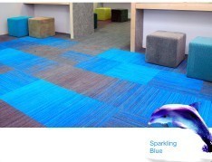 Nylon Highlighting Carpet