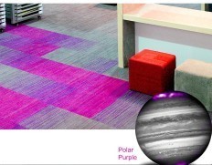 Nylon Carpet