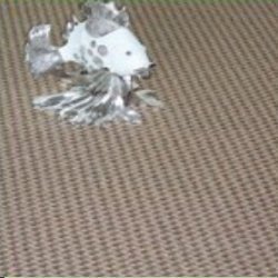 New Royal Guard Tufted Carpet