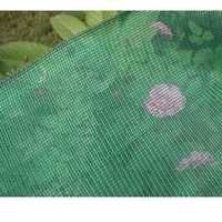 Safety Net Gender: Male