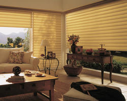 Roman Shade Livingroom Blind
