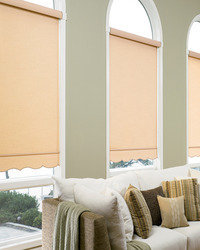 Designer Roller Shade Livingroom Blind