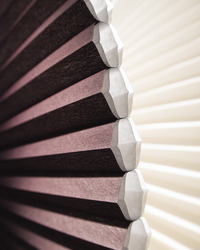 Architella Close Up