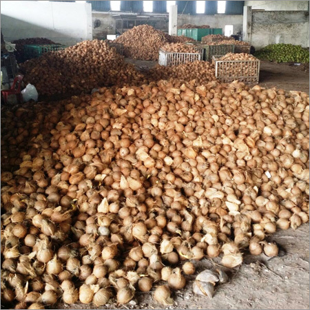 Whole Coconut