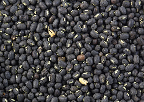 Black Urad Dal
