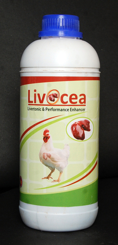 Livocea
