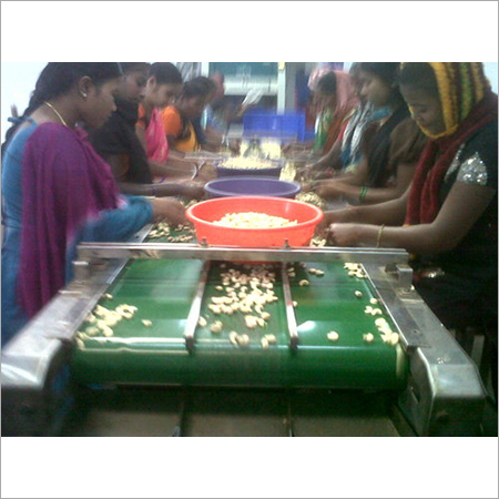 Sorting Belt Conveyor