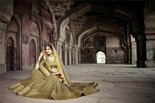 Ultra Fine Beige Net Lehenga Choli