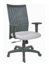 Executive 13