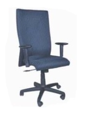 Executive 15