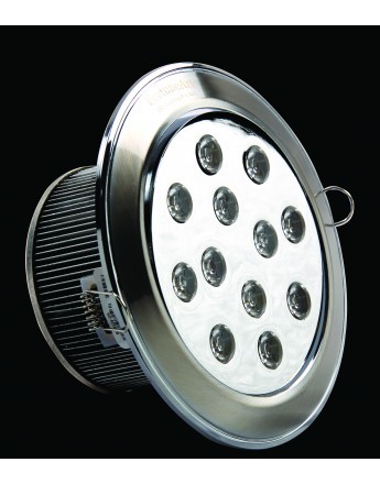 FortuneArrt 12 WATT LED SpotLight