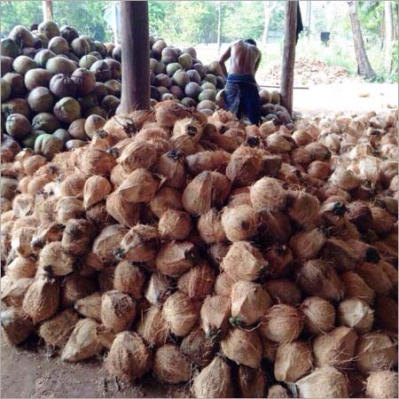 Fresh Husked Coconuts