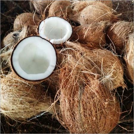 Semi Husked Coconut