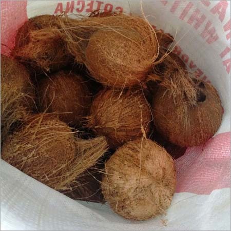 Fresh Semi Husked Coconut
