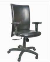 Executive 21