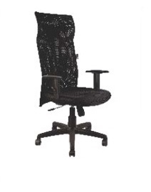Executive 25