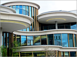 Real Estate Consultants