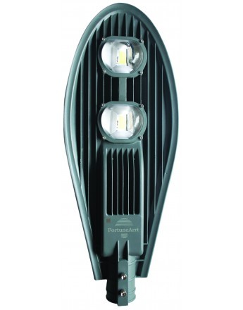 FortuneArrt 100 WATT LED Street Light