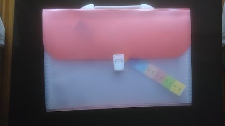 Expandable File Folders