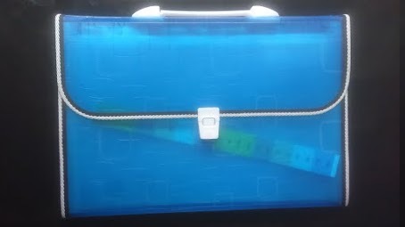 Expandable Hanging Files