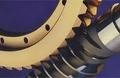 Bronze Worm Gear