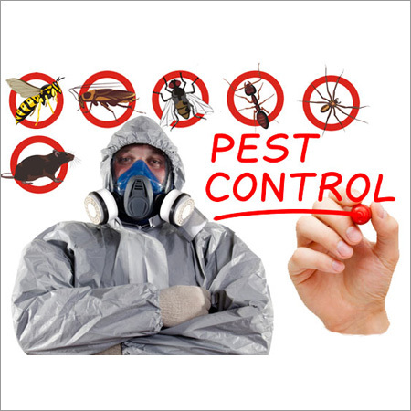 Pest Control Services